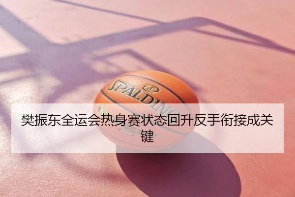 樊振东全运会热身赛状态回升反手衔接成关键
